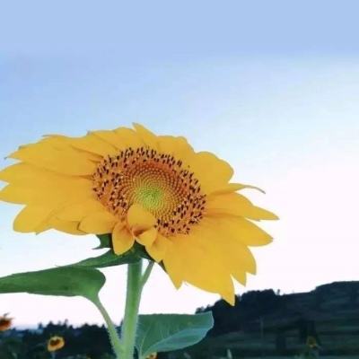 多特游戏盒子app下载