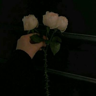 暴走少女变态版下载